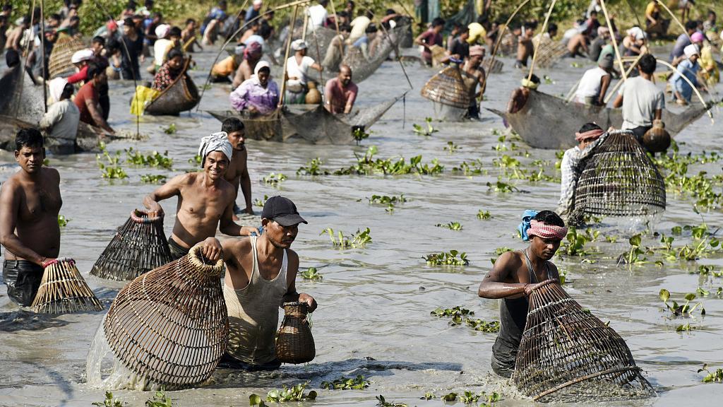 India Celebra Pesca Comunitaria Antes Del Festival De La Cosecha Cgtn