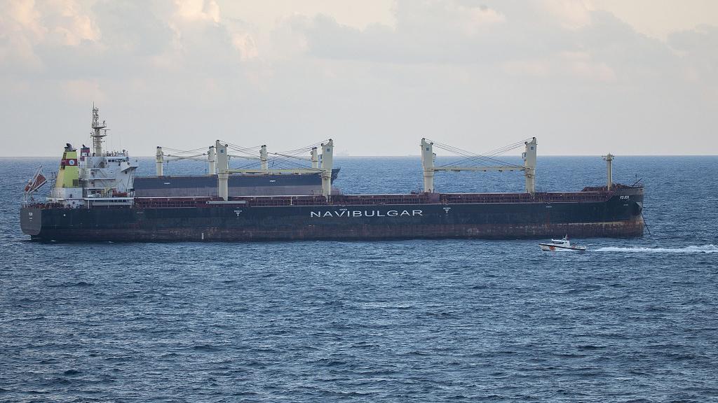 Se Retrasa La Llegada Al L Bano Del Primer Barco Cargado Con Grano