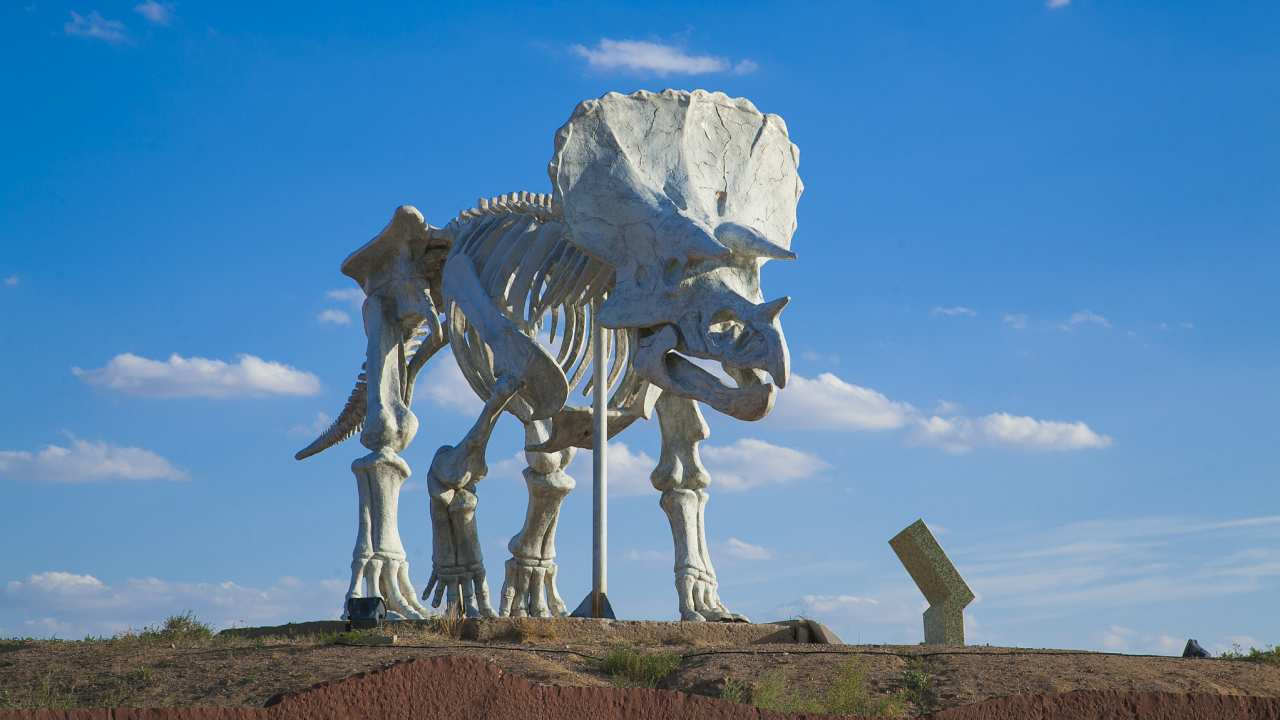 jpg