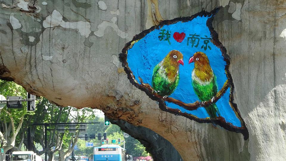 Aparecen dibujos de pájaros en los agujeros de los troncos de árboles en la  calle de Nanjing - CGTN en Español