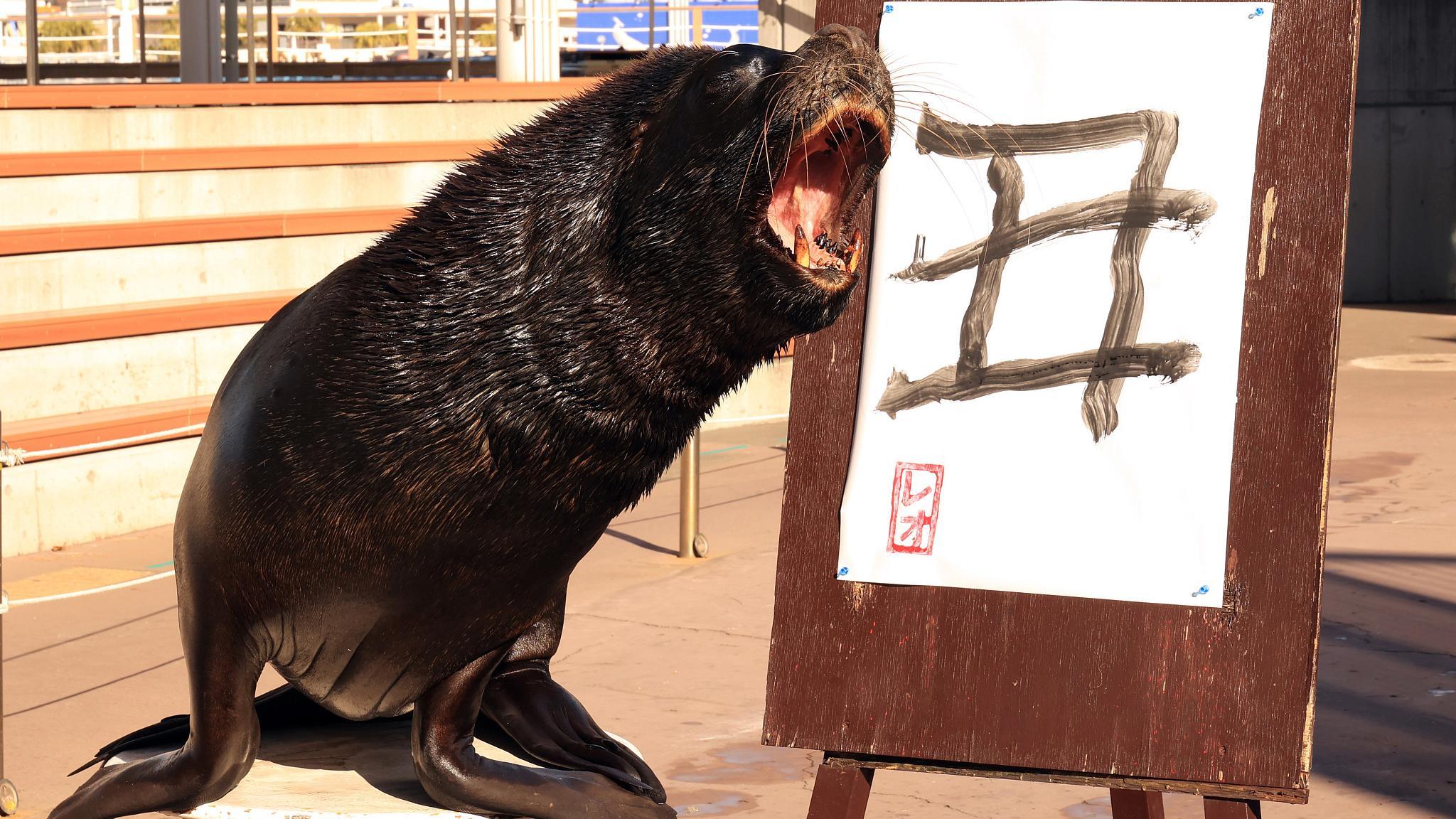 Japón: León marino sabe escribir carácter - CGTN en Español