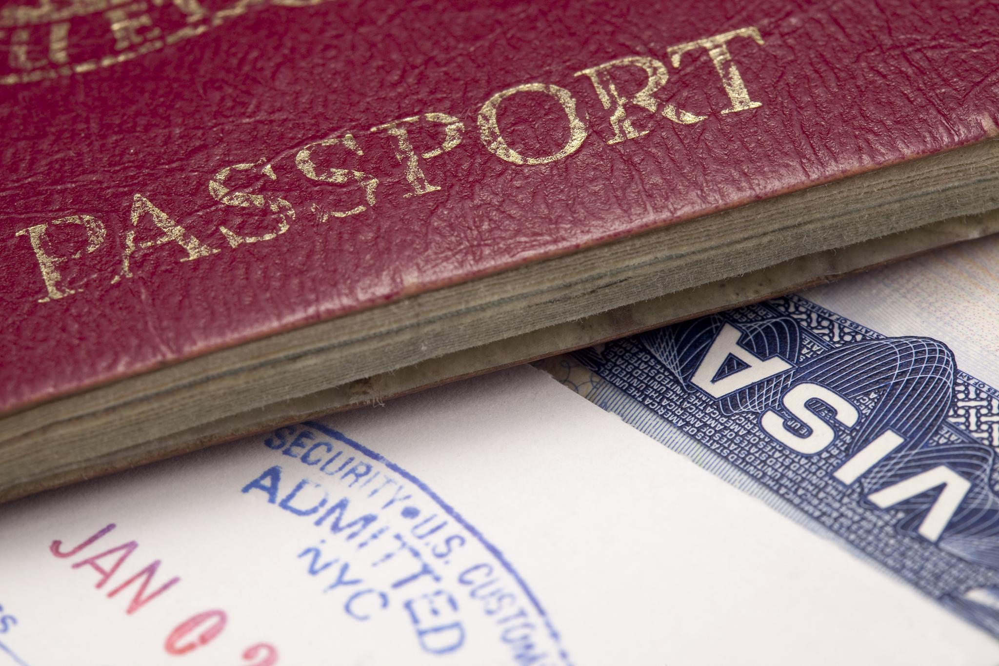 Визовый режим это. Паспортно-визовые формальности. Визовые формальности в туризме. Паспортные формальности в туризме. Золотая виза.