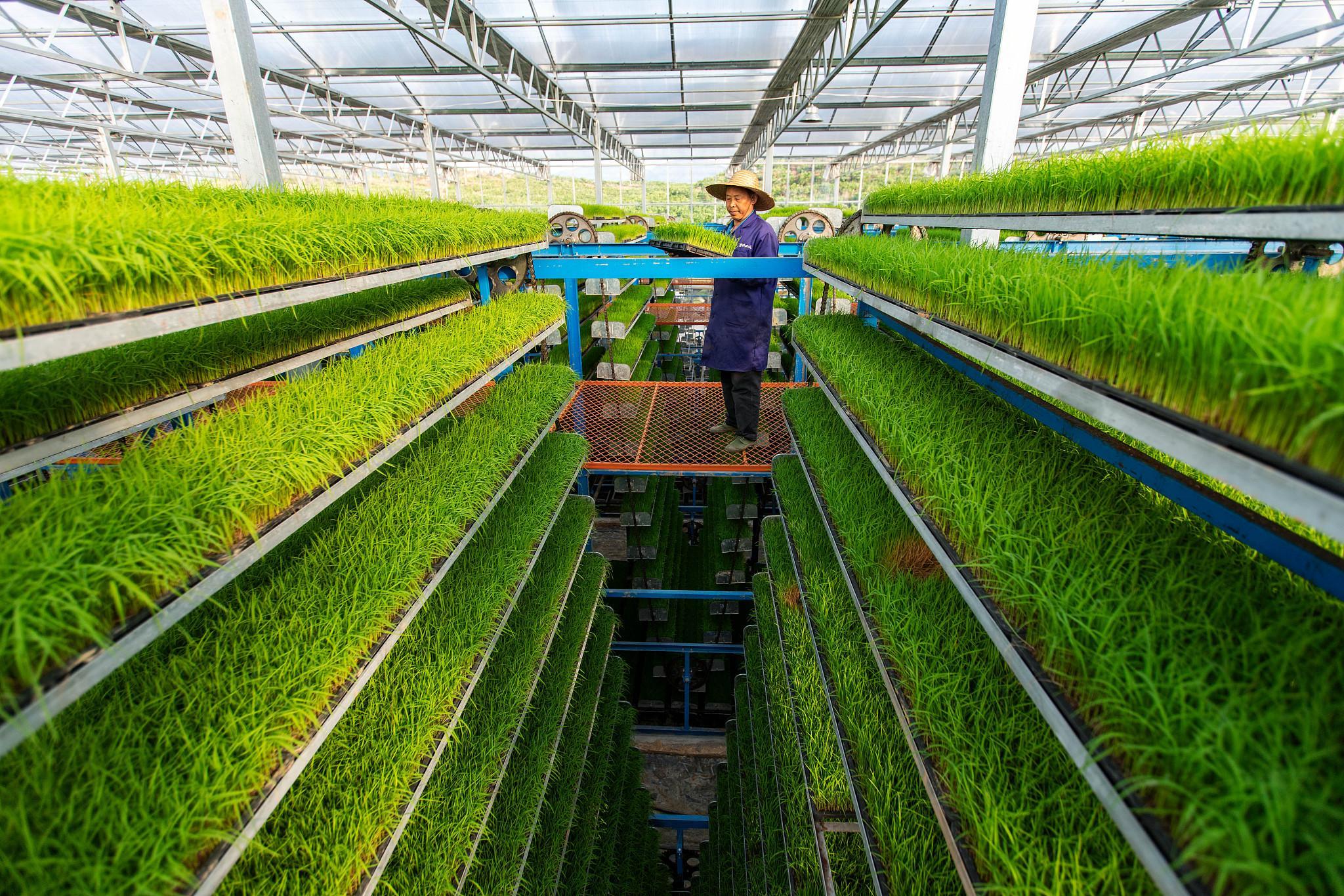 Пригородное сельское хозяйство. Сельское хозяйство Китай 2022. Bio Agriculture. Agricultural Science and Technology Museum.