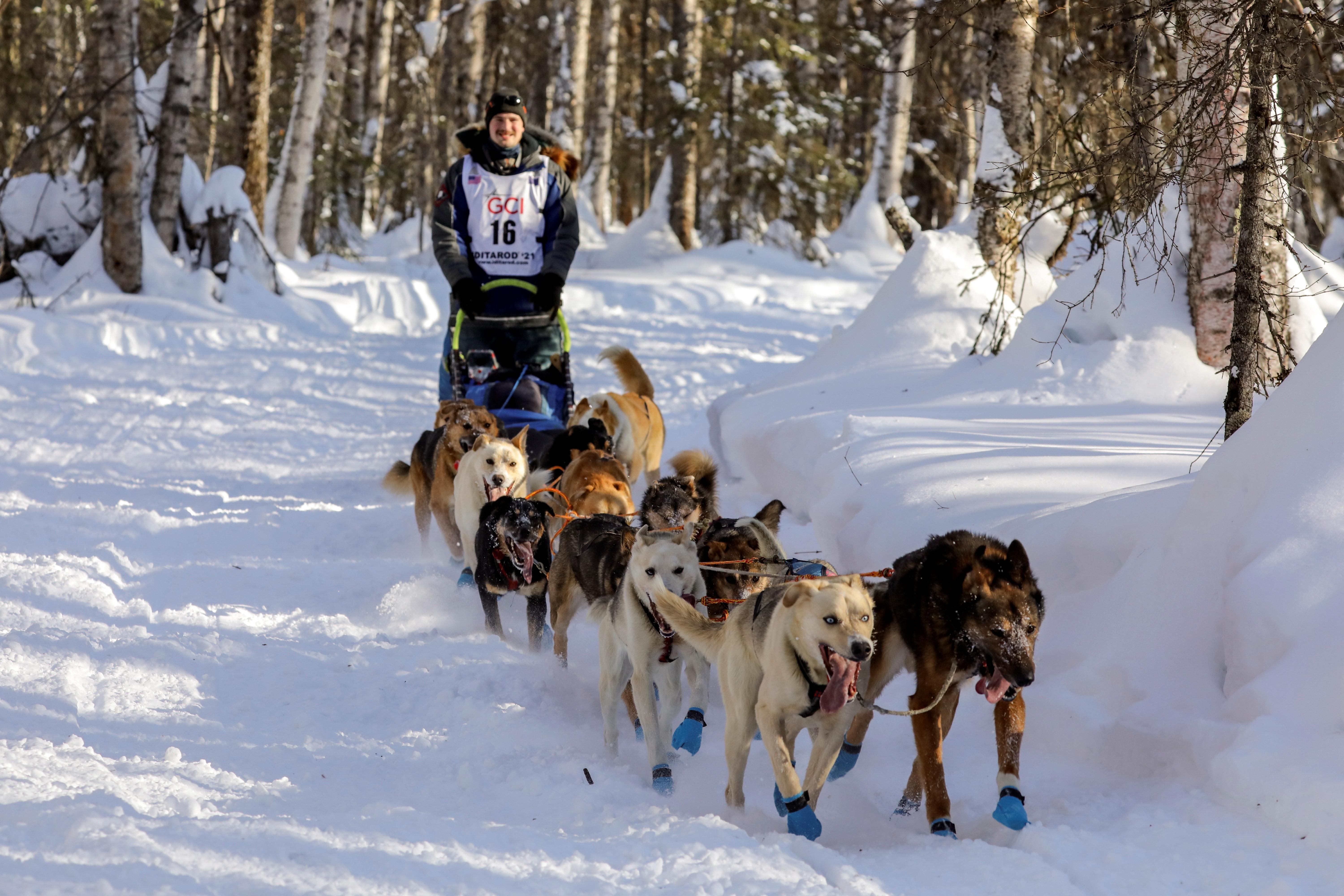 Se lleva a cabo la Carrera Iditarod de trineos con perros en Alaska - CGTN  en Español