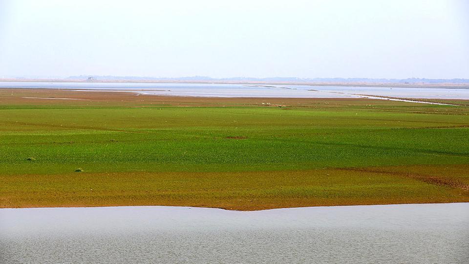 Mejora la calidad del agua en