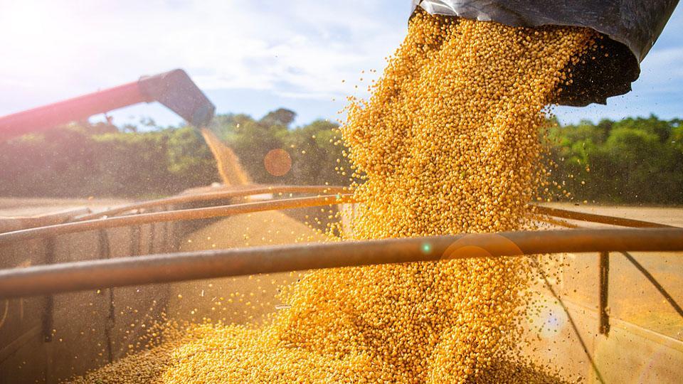 Brasil proyecta producción agrícola récord de 261,6 millones de toneladas en 2022 - CGTN en Español