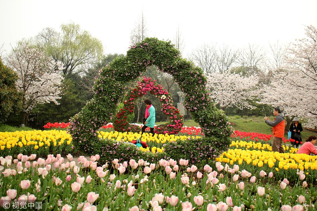 Exposición Internacional de Flores de Shanghai presenta patios con jardines  familiares - CGTN en Español