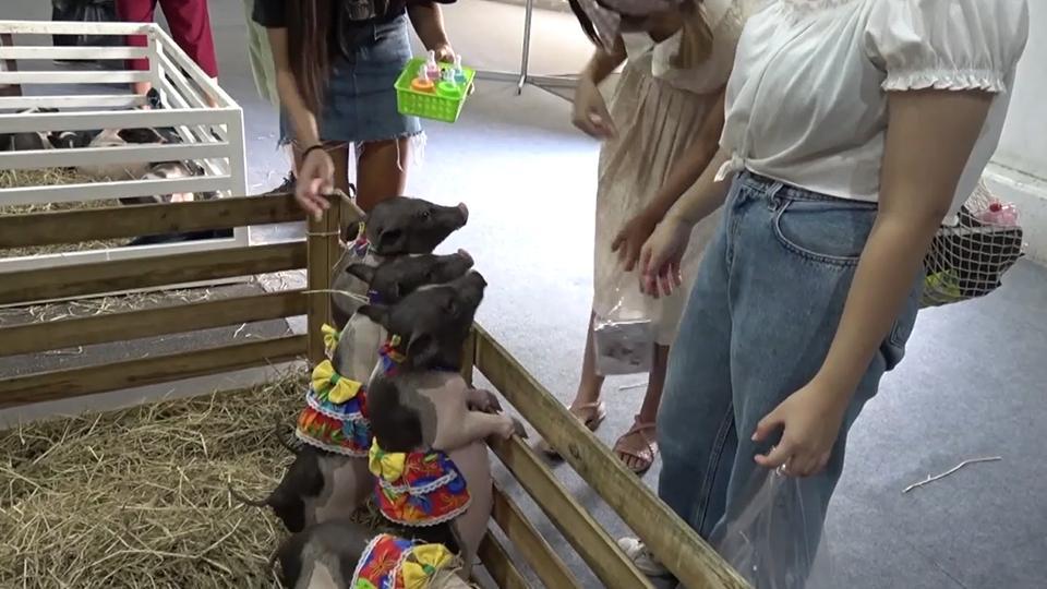 jpg