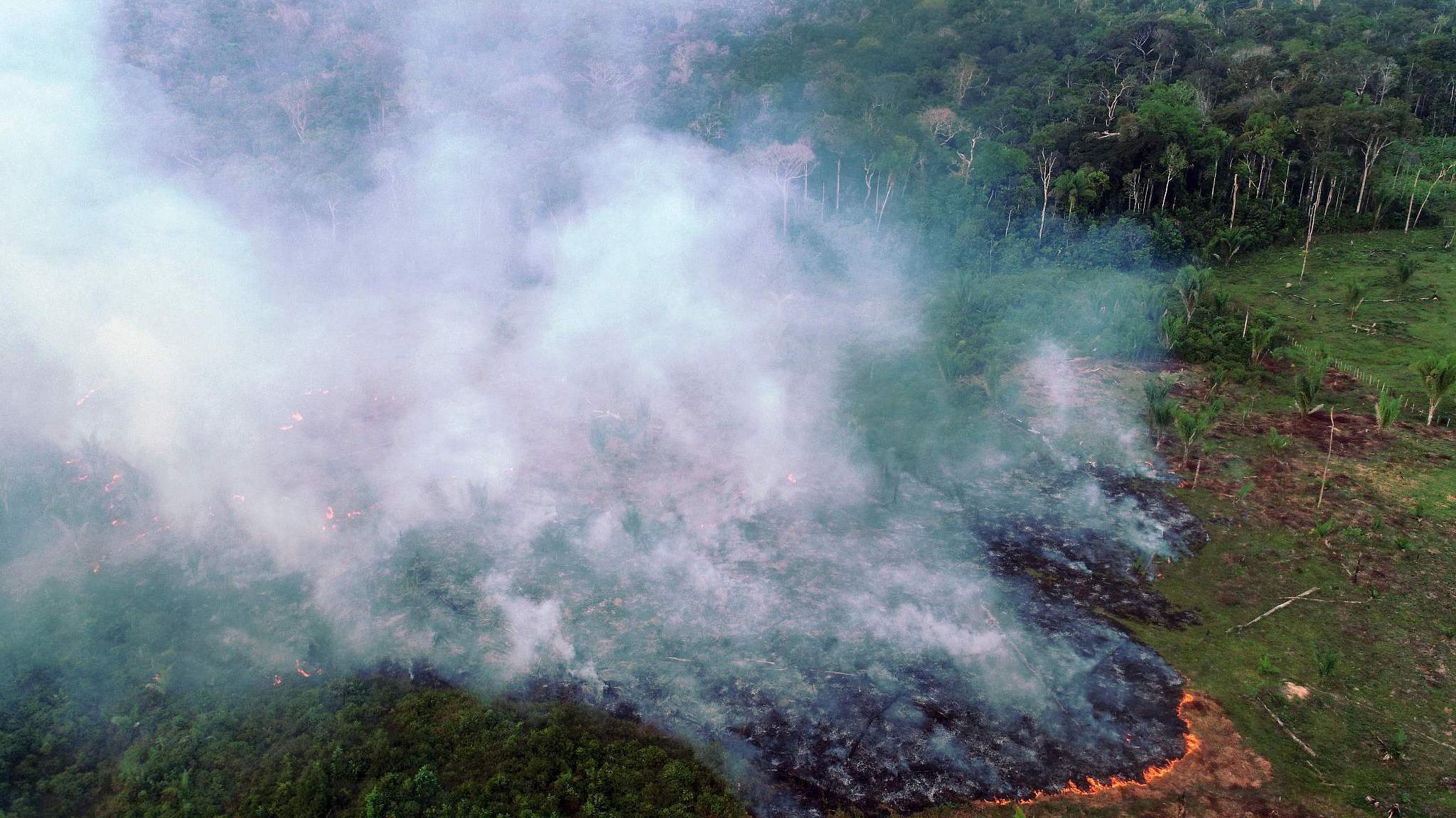 Incendios Forestales Aumentaron En Brasil Durante 2020 Cgtn En Español