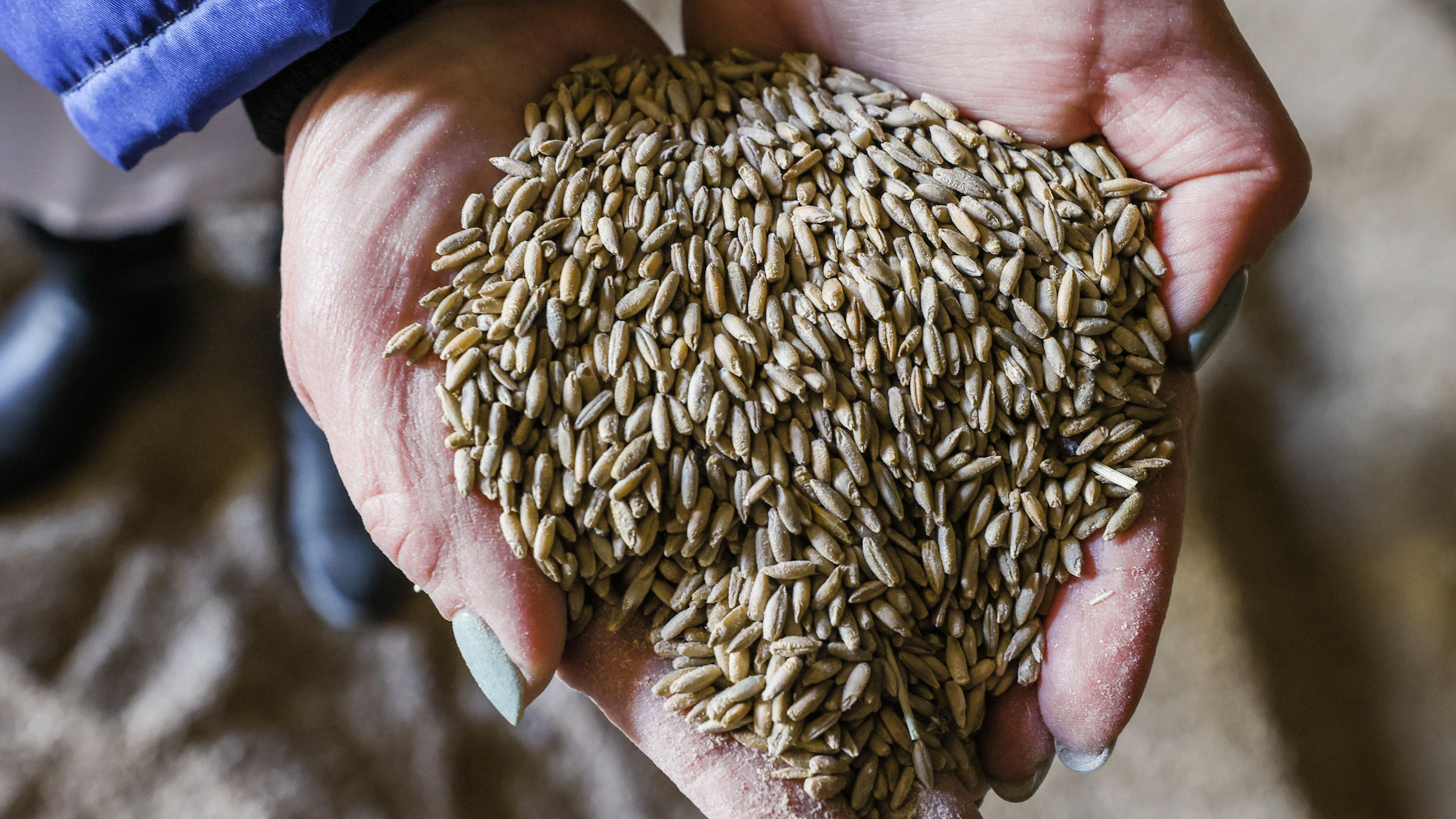 Почему зерно украины. Зерно Украина. Дефицит пшеницы. Экспорт зерна. Запасы пшеницы.