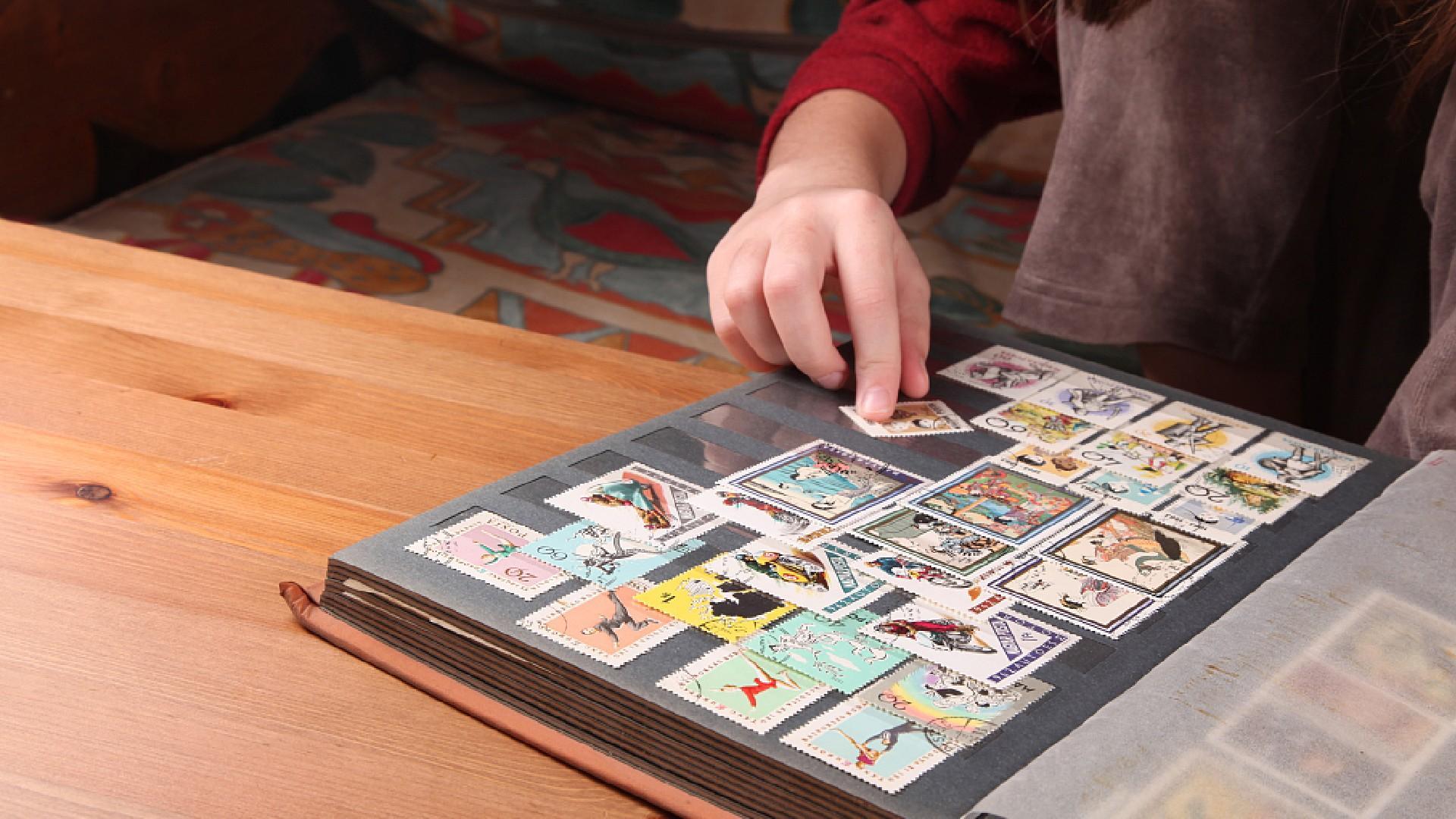 Хобби коллекционирование. Игра где коллекционируют. Игра где коллекционируют. Игра где коллекционируют. Игры с коллекционированием.